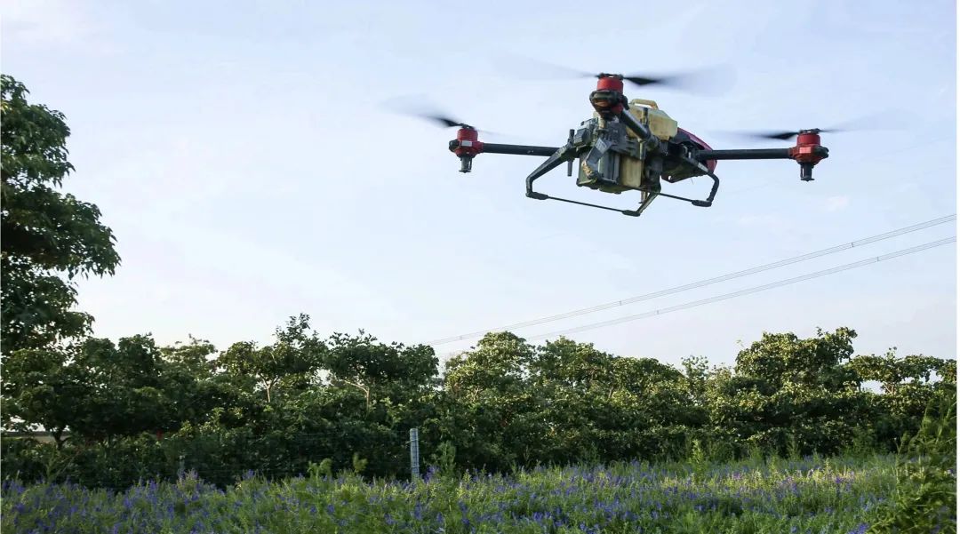 1634347232305095.jpg 5856c7e970861eb8276a7f670dfa9fef.jpg