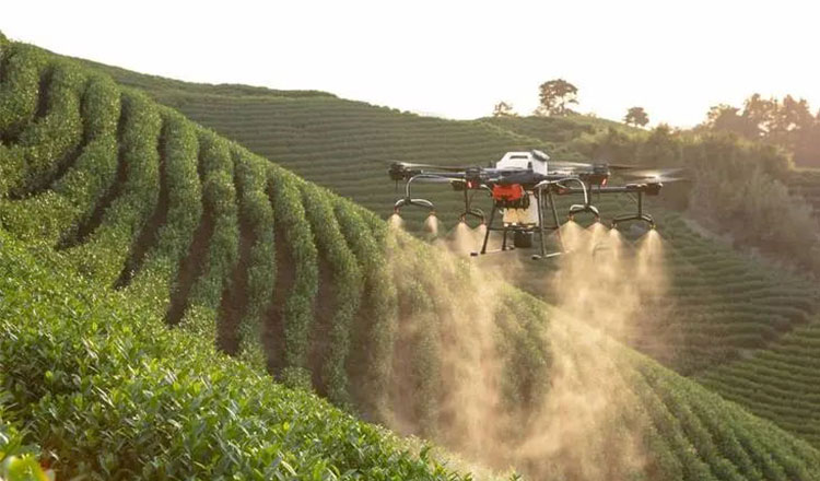 1693134154859257.jpg 未標(biāo)題-9.jpg