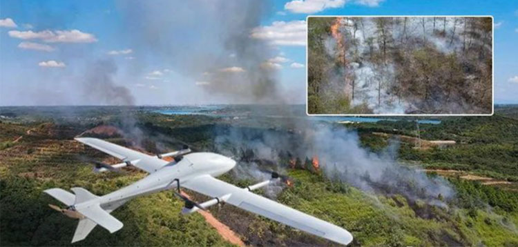 1696570295612106.jpg 2.jpg